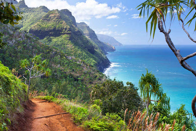 Discover the Most Scenic Summer Trails